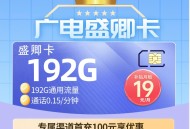广电盛升卡19元192G通用（本地归属地）