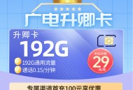 广电升龙卡29元192G通用流量【全国发货】