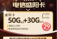 电信盛阳卡