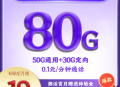 电信飞悦卡 19 元 80G+0.1 / 分钟【优惠一年】